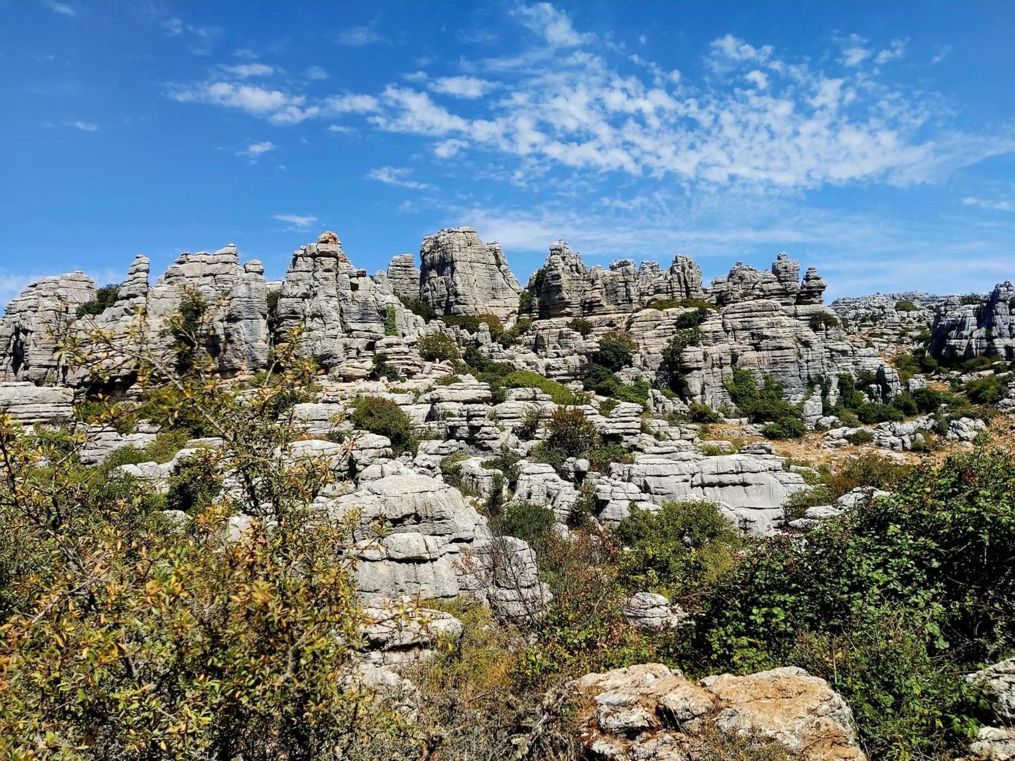 Cactus Hill - Safari Tents - Caminito Del Rey Álora Kültér fotó